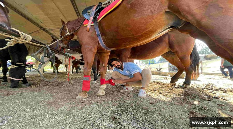 JDB电子在线拼尽全力，聚集荣耀